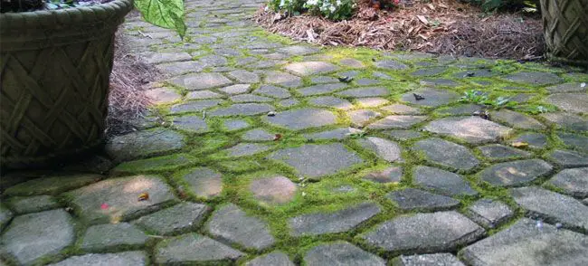 how-do-you-remove-mold-on-concrete-patio-patio-comfy