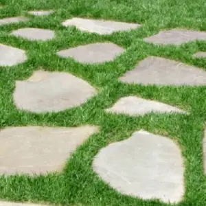 Can you Grow Grass between Pavers? - Patio Comfy