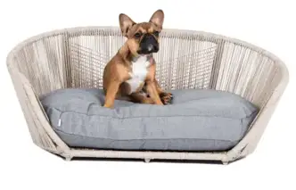 How To Keep Dogs Off Patio Furniture Easily Patio Comfy