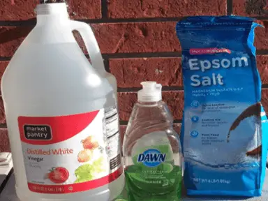 Does Vinegar Kill Weeds and Grass? How to Use it - Patio Comfy