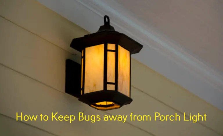 how-to-keep-bugs-away-from-porch-light-patio-comfy